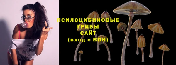 спайс Осташков