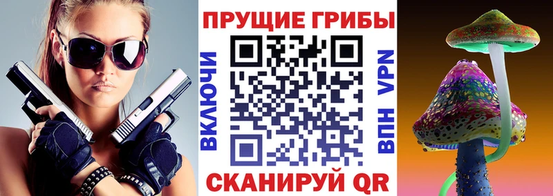 Галлюциногенные грибы GOLDEN TEACHER  цена наркотик  Переславль-Залесский 
