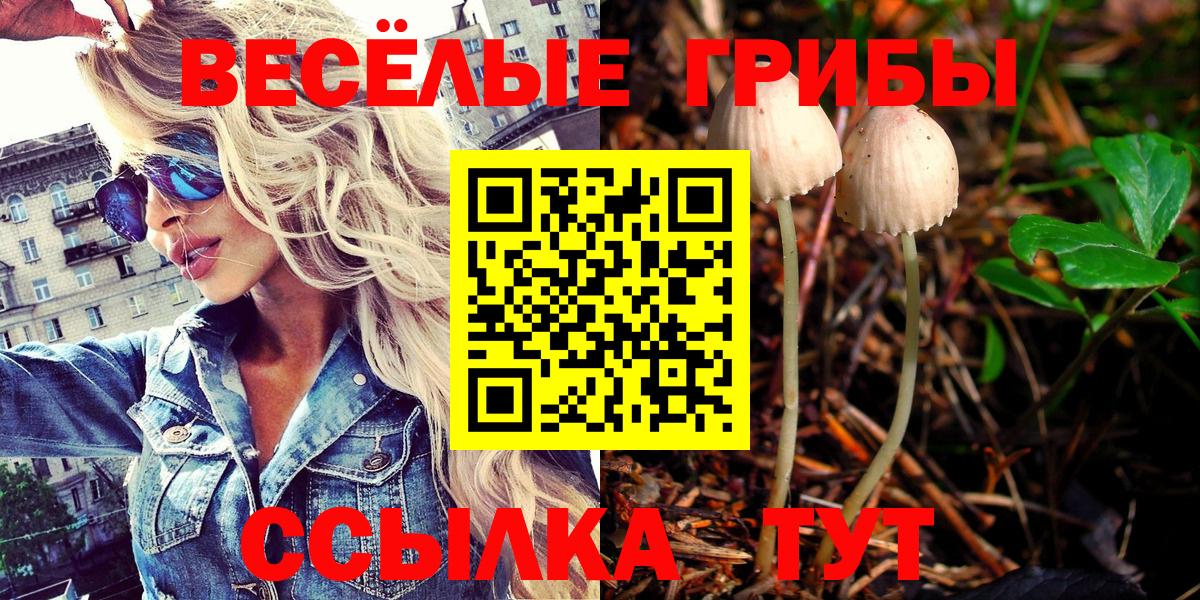 Галлюциногенные грибы мицелий Переславль-Залесский